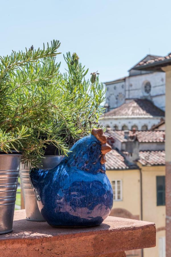 Terrazza Coccode' Spazioso Con Vista Mozzafiato! Lucca Exteriér fotografie