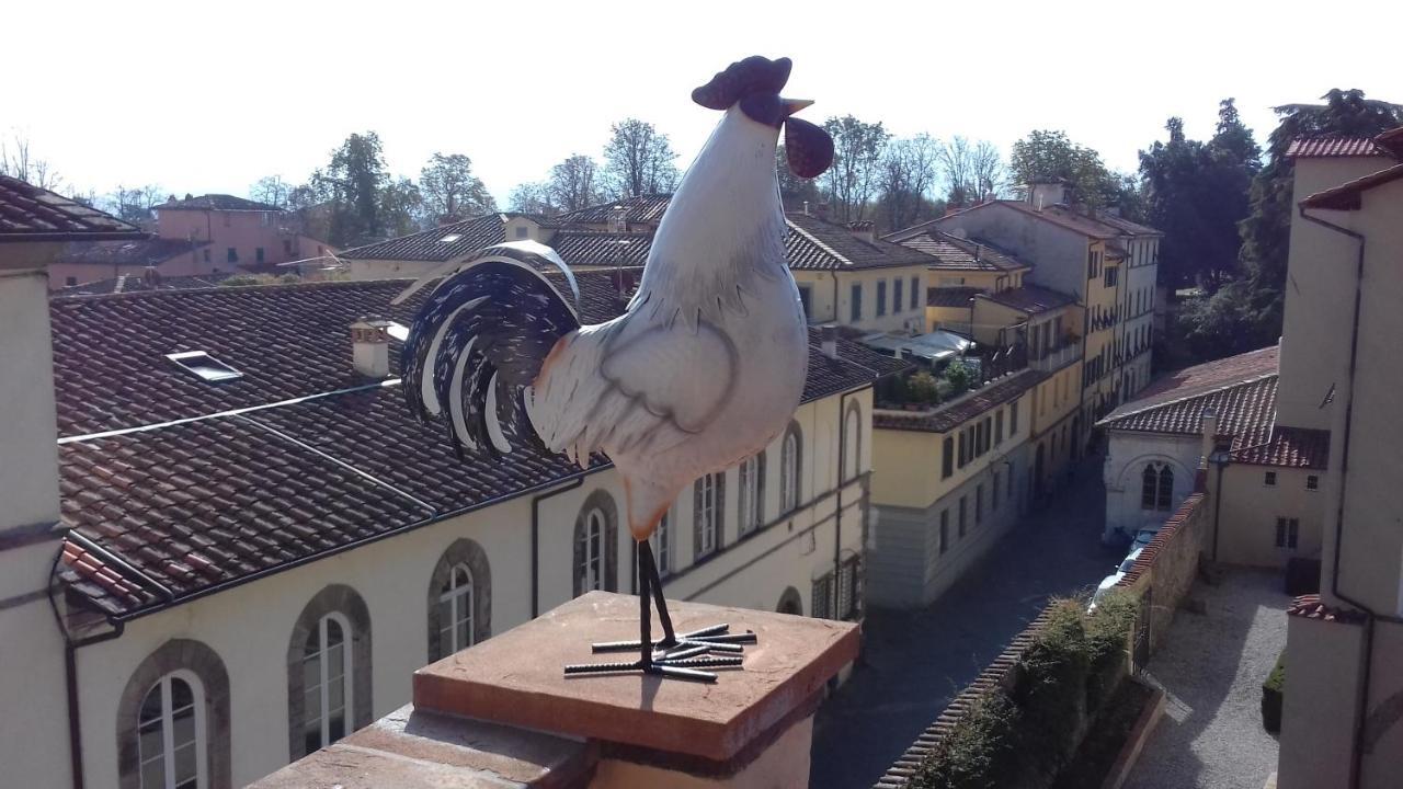 Terrazza Coccode' Spazioso Con Vista Mozzafiato! Lucca Exteriér fotografie